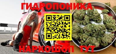 Альфа ПВП Чебоксары