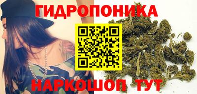 Альфа ПВП Чебоксары