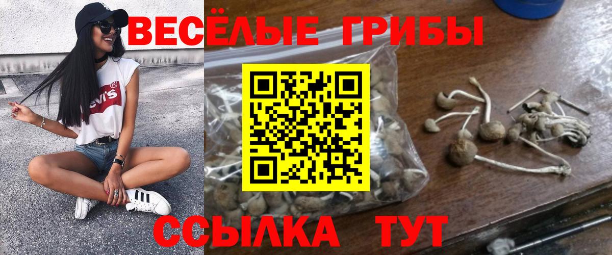 Галлюциногенные грибы Magic Shrooms  Вход с VPN  Чебаркуль  Галлюциногенные грибы мицелий 